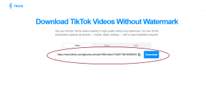 paste tiktok url and click download